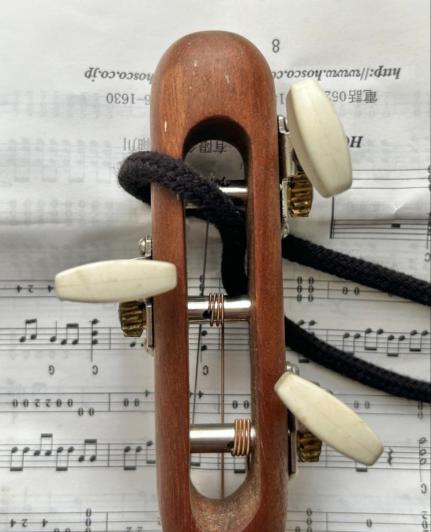 HOSCO みんなの民族楽器 ミンミン MinMin 3弦ギター　おまけ付き