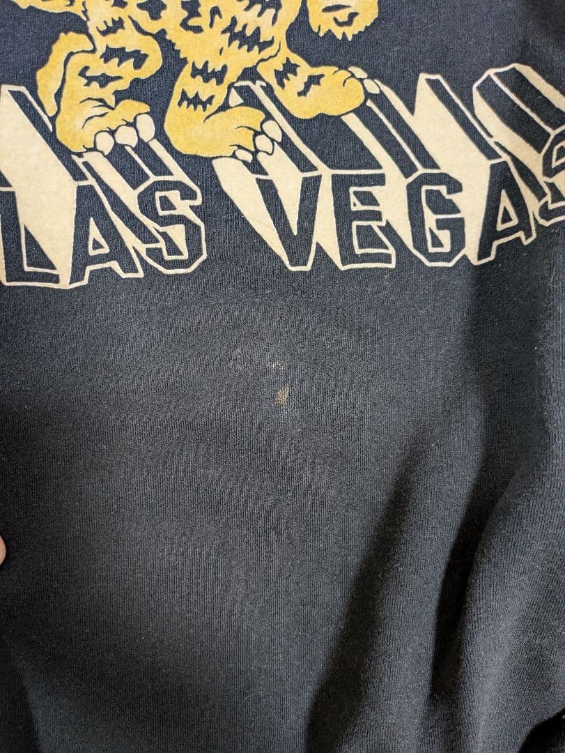 カラーフロッキー　スウェット　fj監修