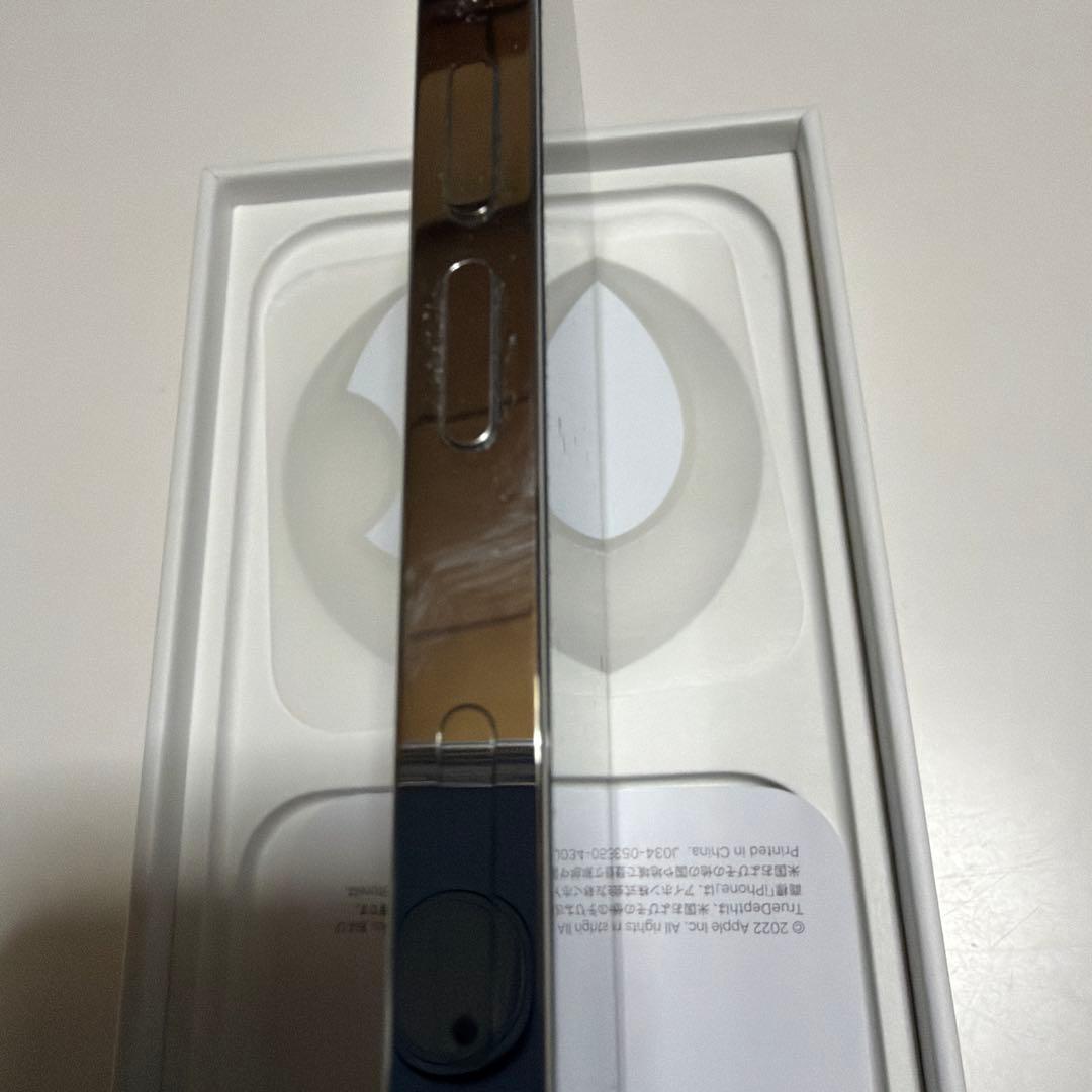 Apple iPhone 14 Pro シルバー 本体　256GB