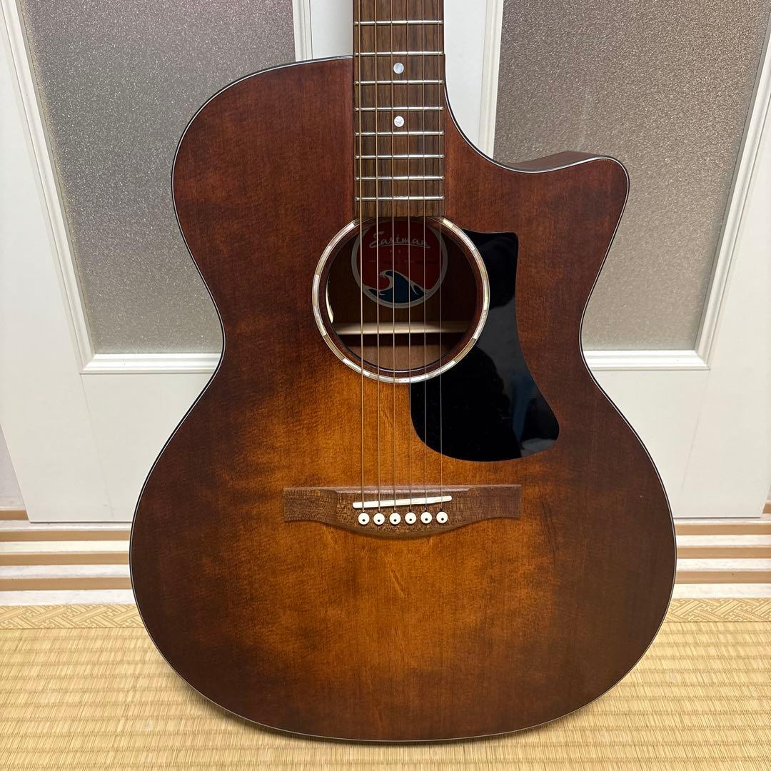 Eastman アコースティックギター ブラウン