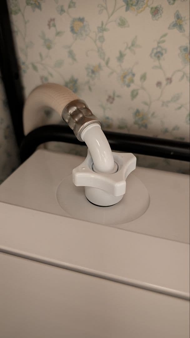 【最上位モデル】日立 ビッグドラム BD-SX110CL