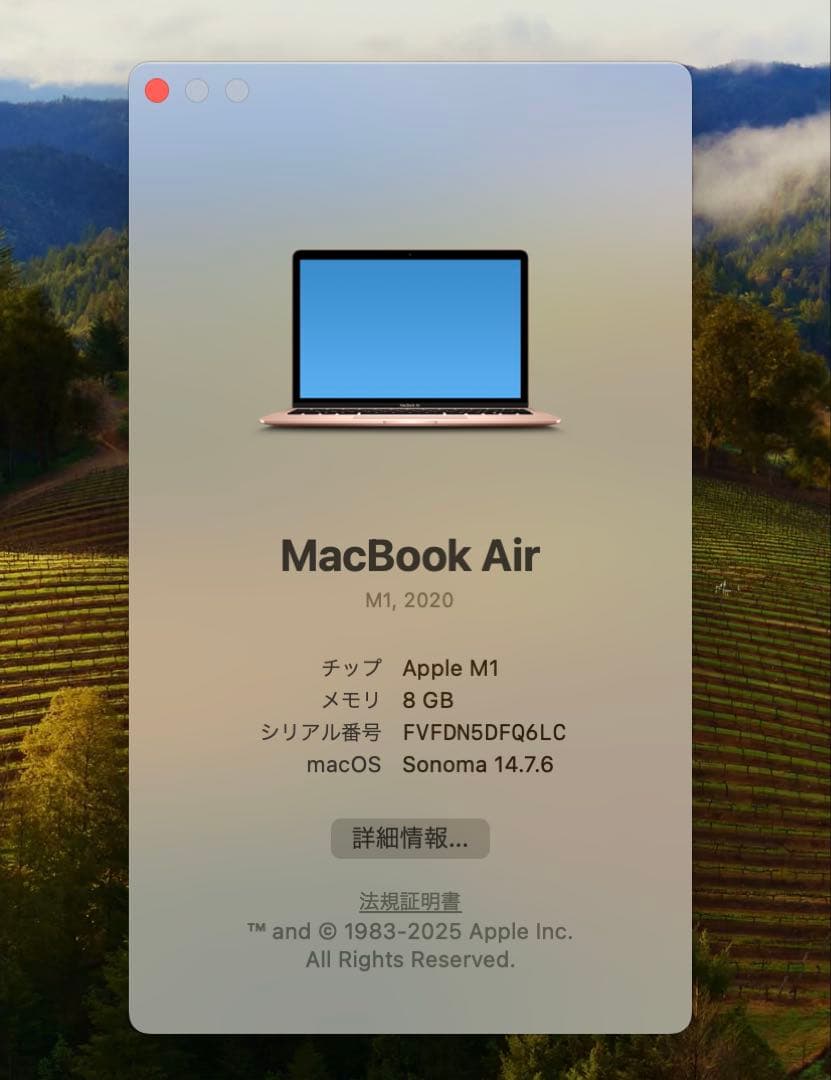 肉*ン様 Apple M1 MacBookAir ゴールド
