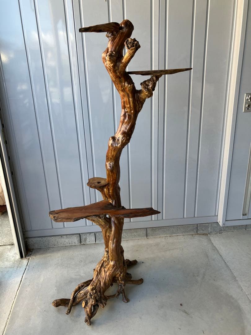 流木飾り台、サルスベリ