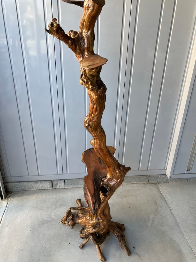 流木飾り台、サルスベリ