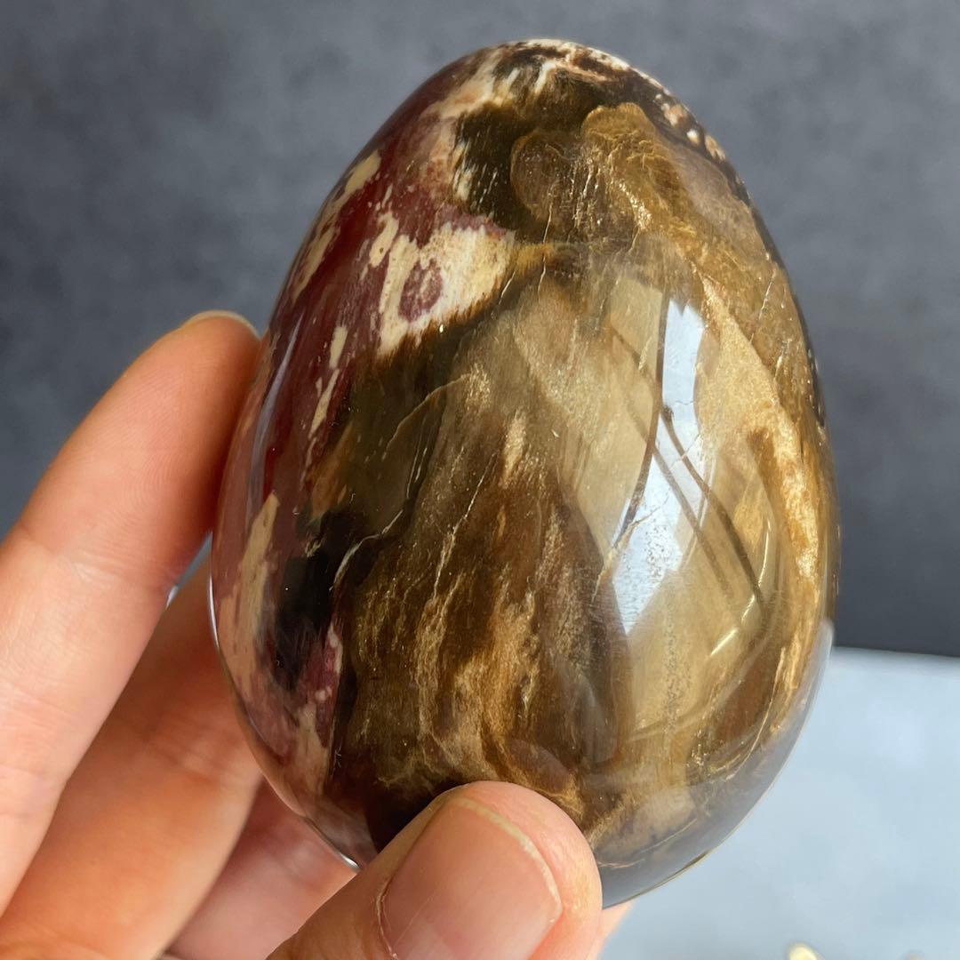 ペトリファイド ウッド エッグ 珪化木 マダガスカル産 台座付き