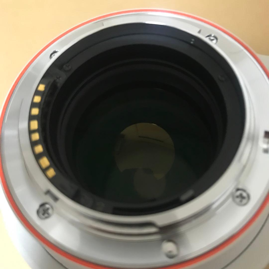 ソニー SONY 70-200mm F2.8 G SAL70200G