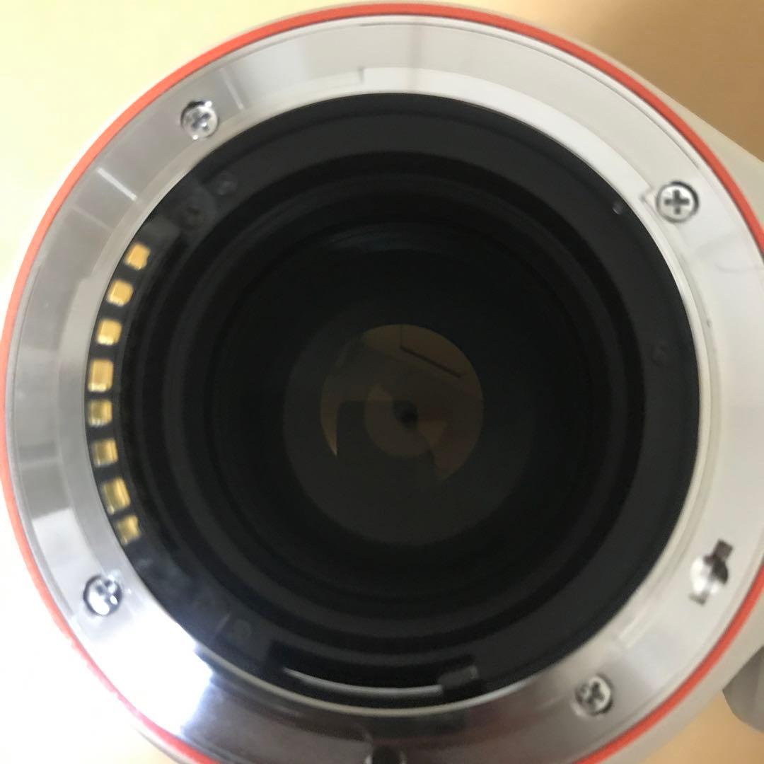 ソニー SONY 70-200mm F2.8 G SAL70200G