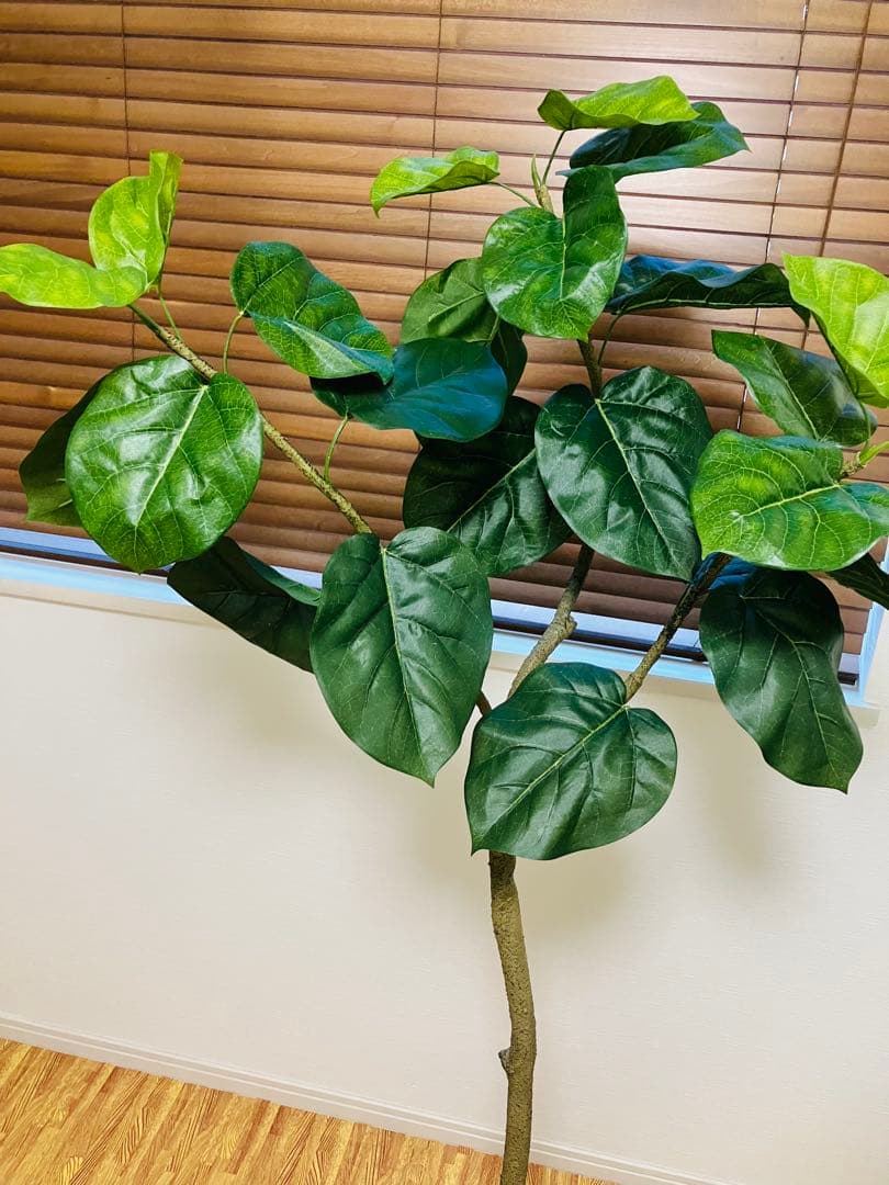 ウンベラータ フェイクグリーン 150cm