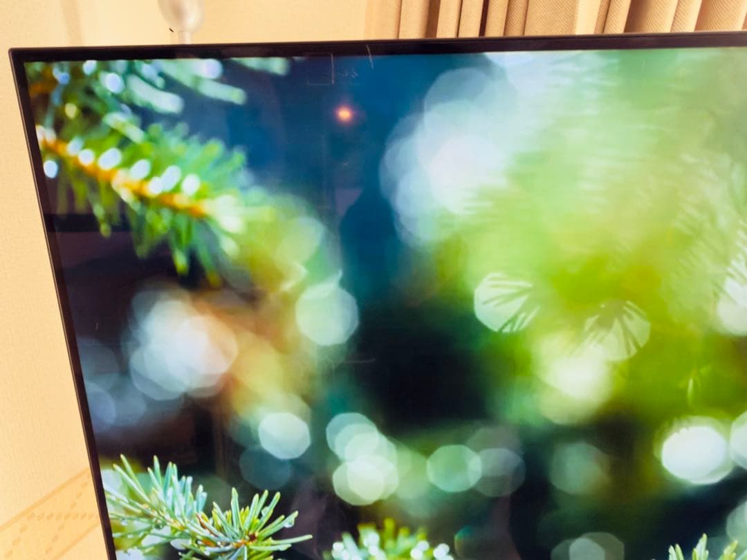 定価約30万★】SONY BRAVIA XRJ-55A80J 4K有機ELテレビ