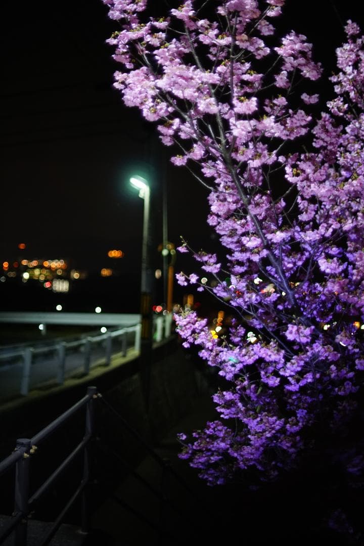 美品 Canon FD 55mm F1.2 S.S.C.