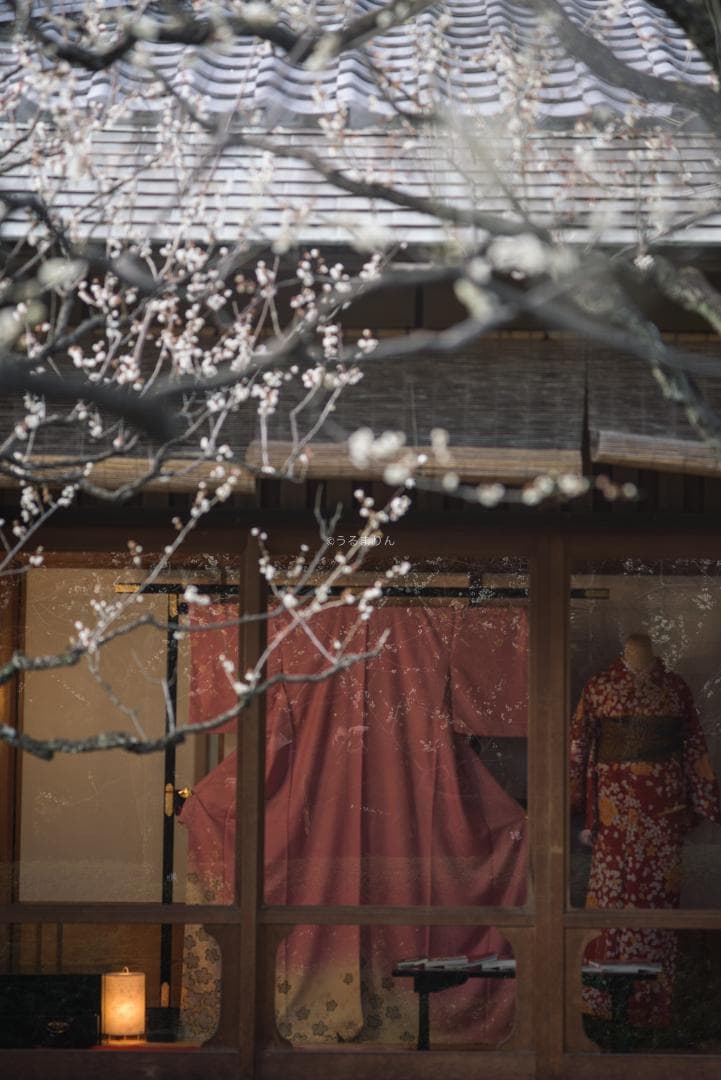 極彩色の中望遠！Carl zeiss Sonnar 100mm F3.5 MMJ