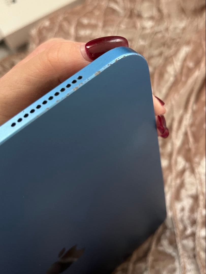 Apple iPad 本体 ブルー 256GB