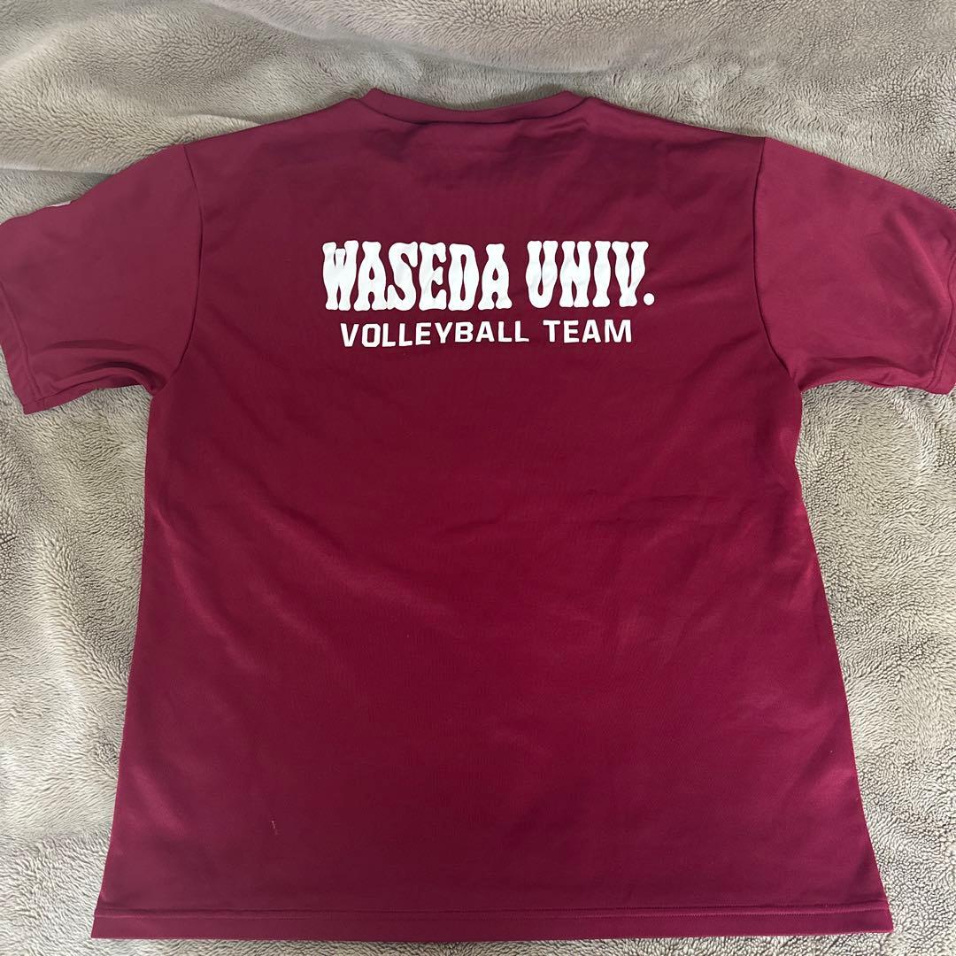 早稲田大学バレーボールチームウェア 2020