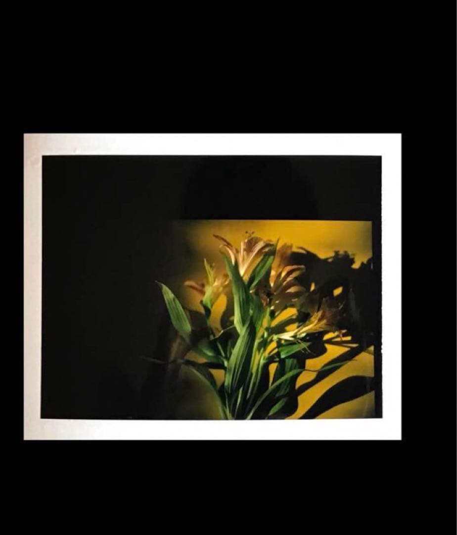 Pentax 67 ポラロイド改造