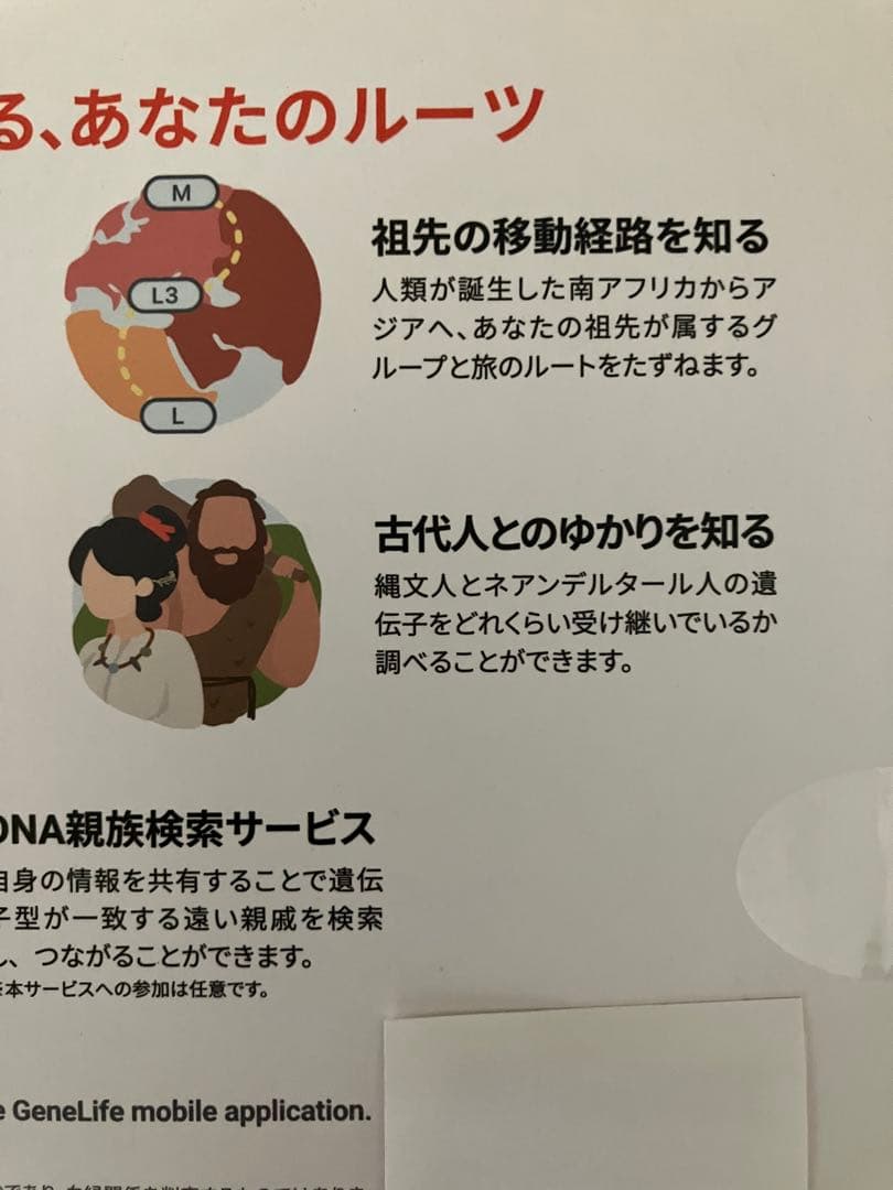 Haplo3.0 遺伝子検査キット