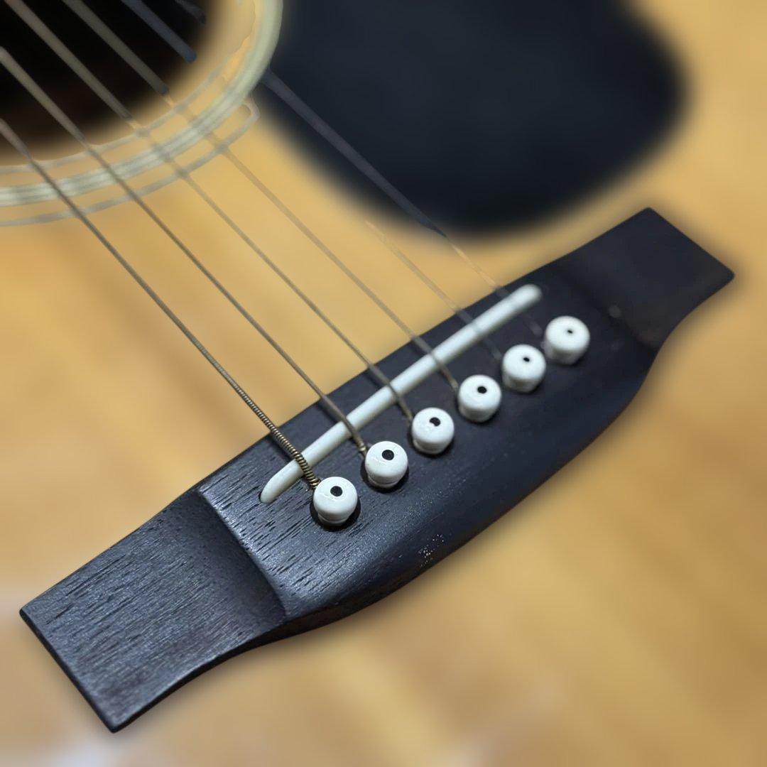 【希少】Tokai Cats Eyes CE-400ハードケース付　保証書付き