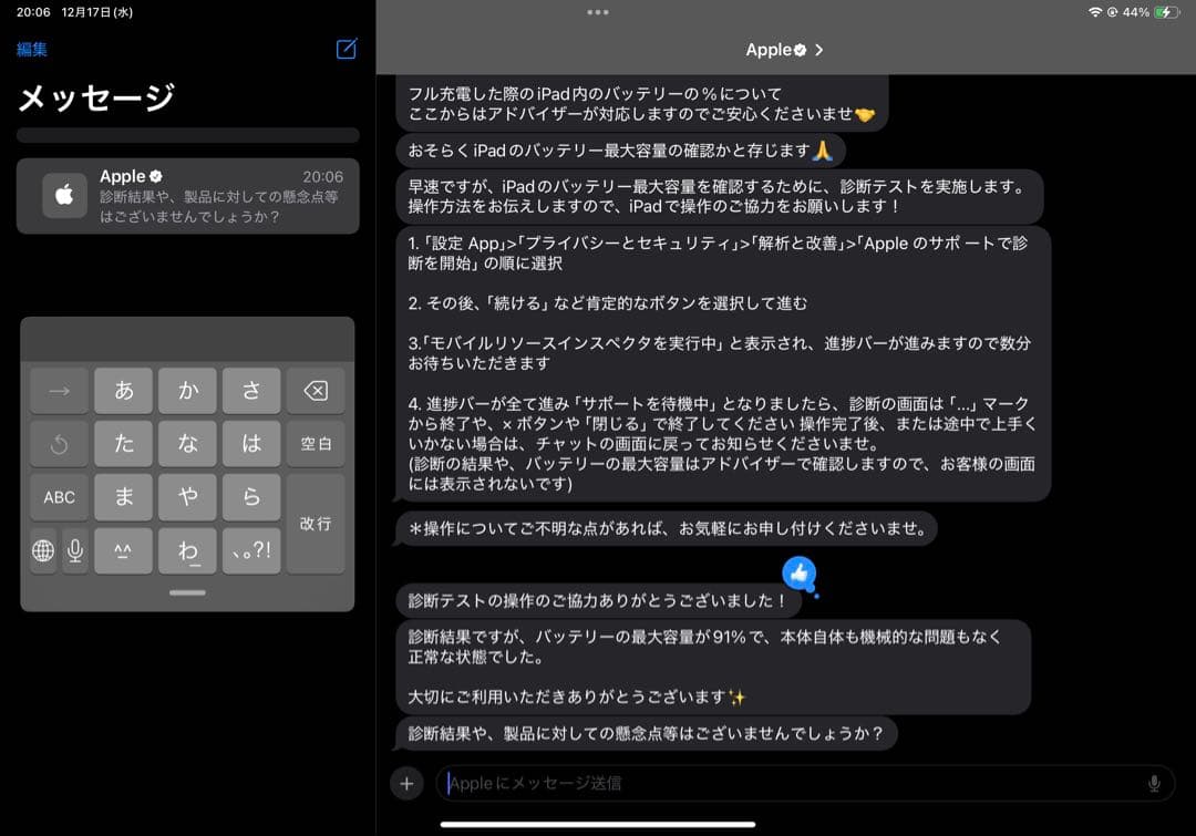 Crown！iPad Pro 11インチ 第4世代 本体 256GB