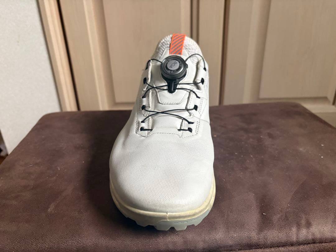 え*ん様 エコー　biom c4 ゴルフシューズ