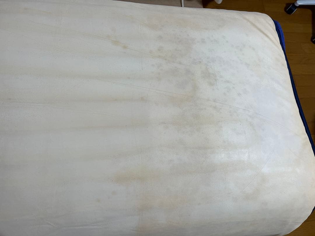 リジュベネーション、ゲルママット、ファットレスマットレス　デトックス、毒素排泄