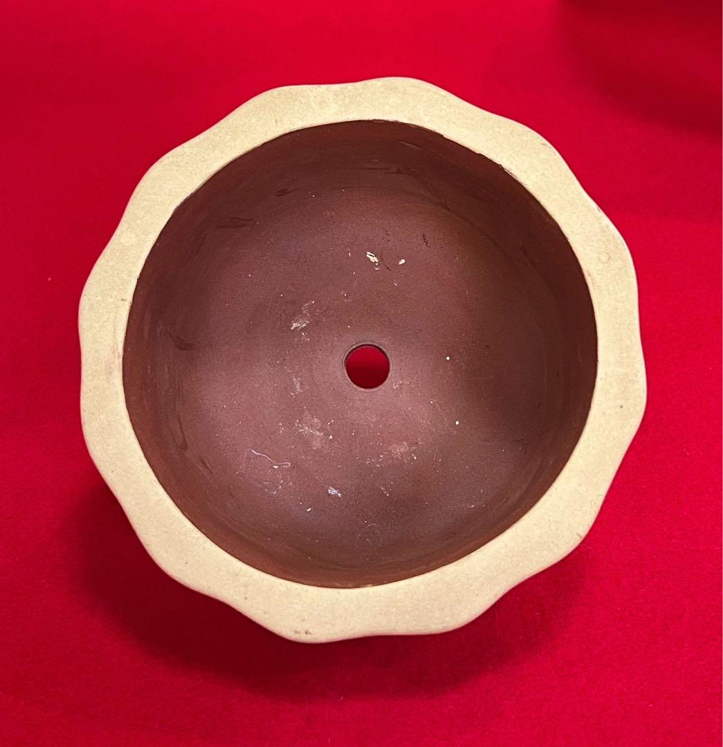 中国美術 梅紋樣 黄泥盆栽鉢 植木鉢 紅花怒放