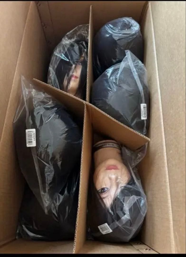 専用★国家試験用　カットウィッグ16体