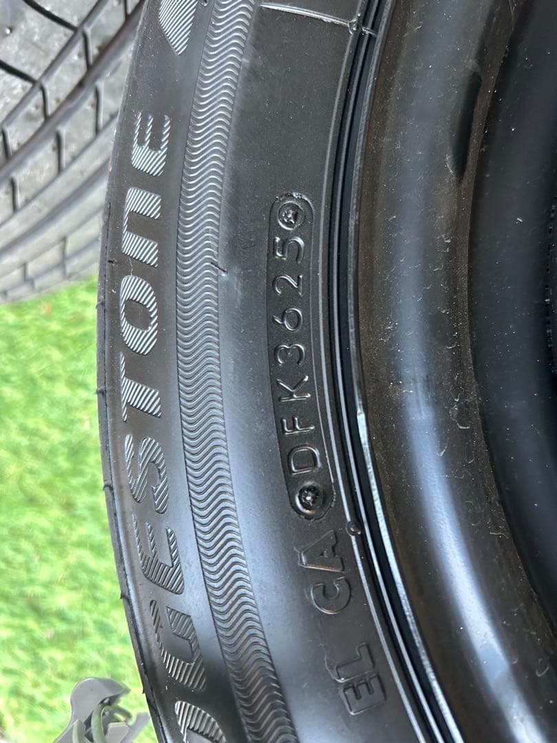 ガジュマルさん専用