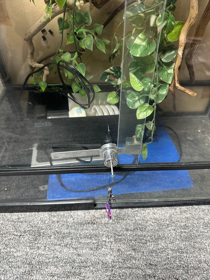 引き取り限定 爬虫類ケージセット とケージ2個