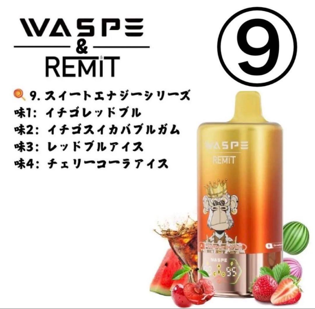 H様用　WESPE10万⑨&⑩