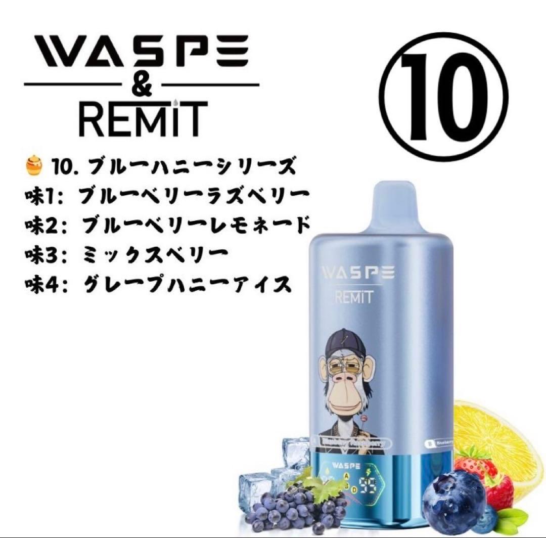 H様用　WESPE10万⑨&⑩