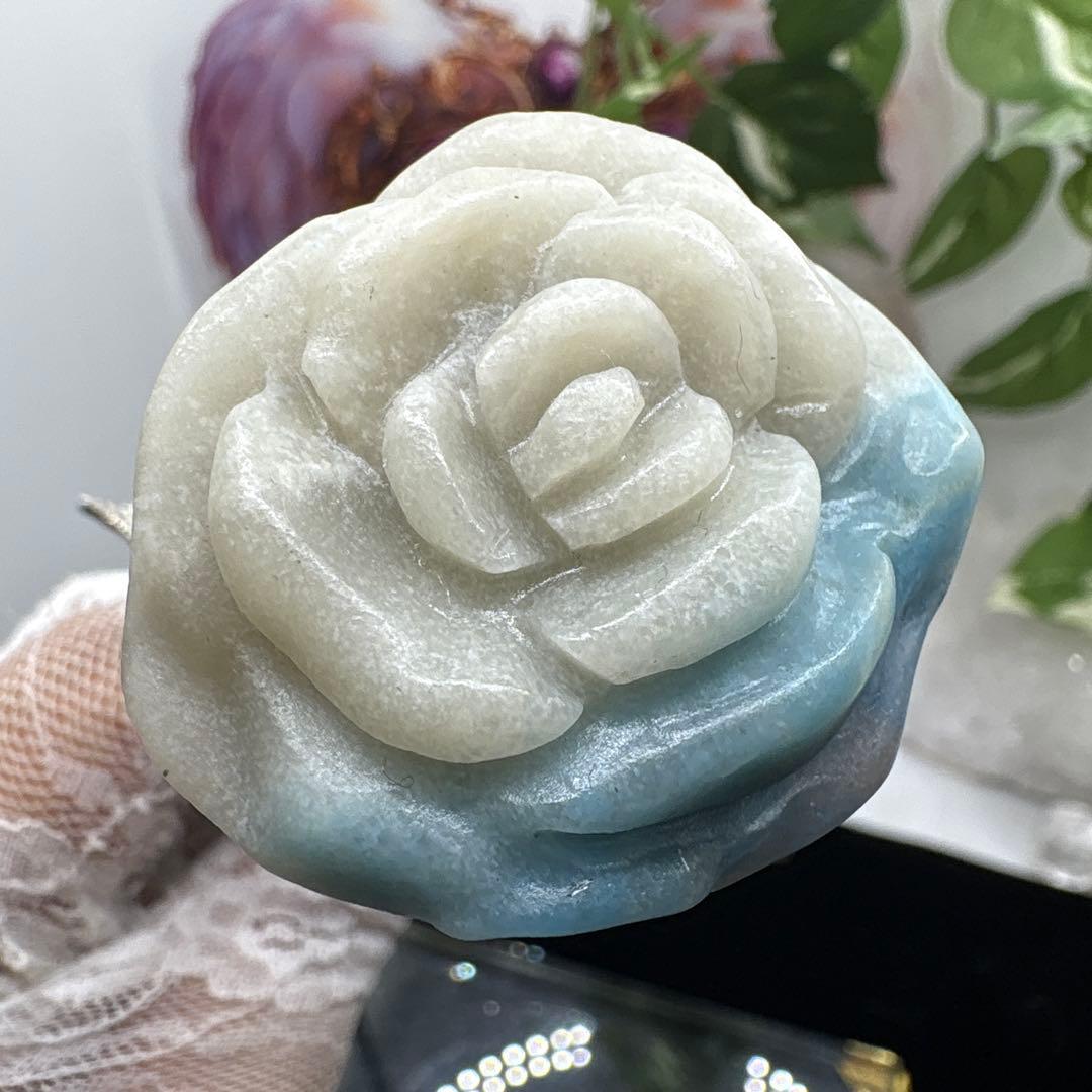 トロレアイト薔薇No.1441