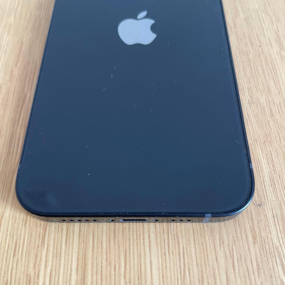 Apple　iPhone 12　Black　128GB　動作確認のみの使用