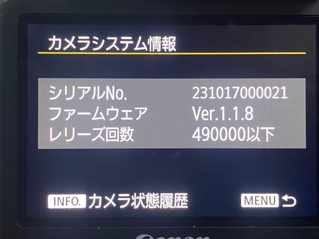 オーバーホール済Canon EOS-1D X Mark II 1DX mark2