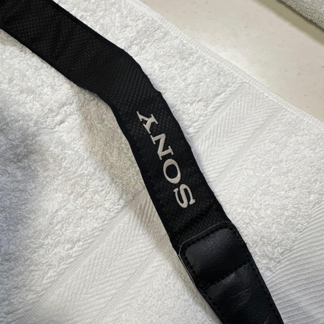 SONY α 6000 ミラーレス一眼　値下不可