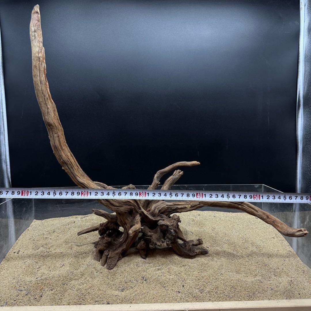 MSRW-7171 天然流木2本セット　スリムウッド　アクアリウム