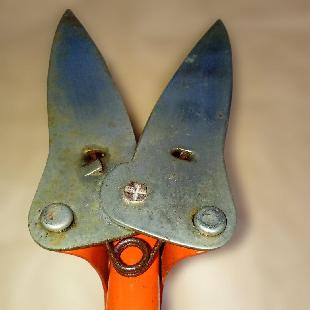 サボテン 剪定用ハサミ オレンジ　サボテン ハンドグラスシザー　アンティーク