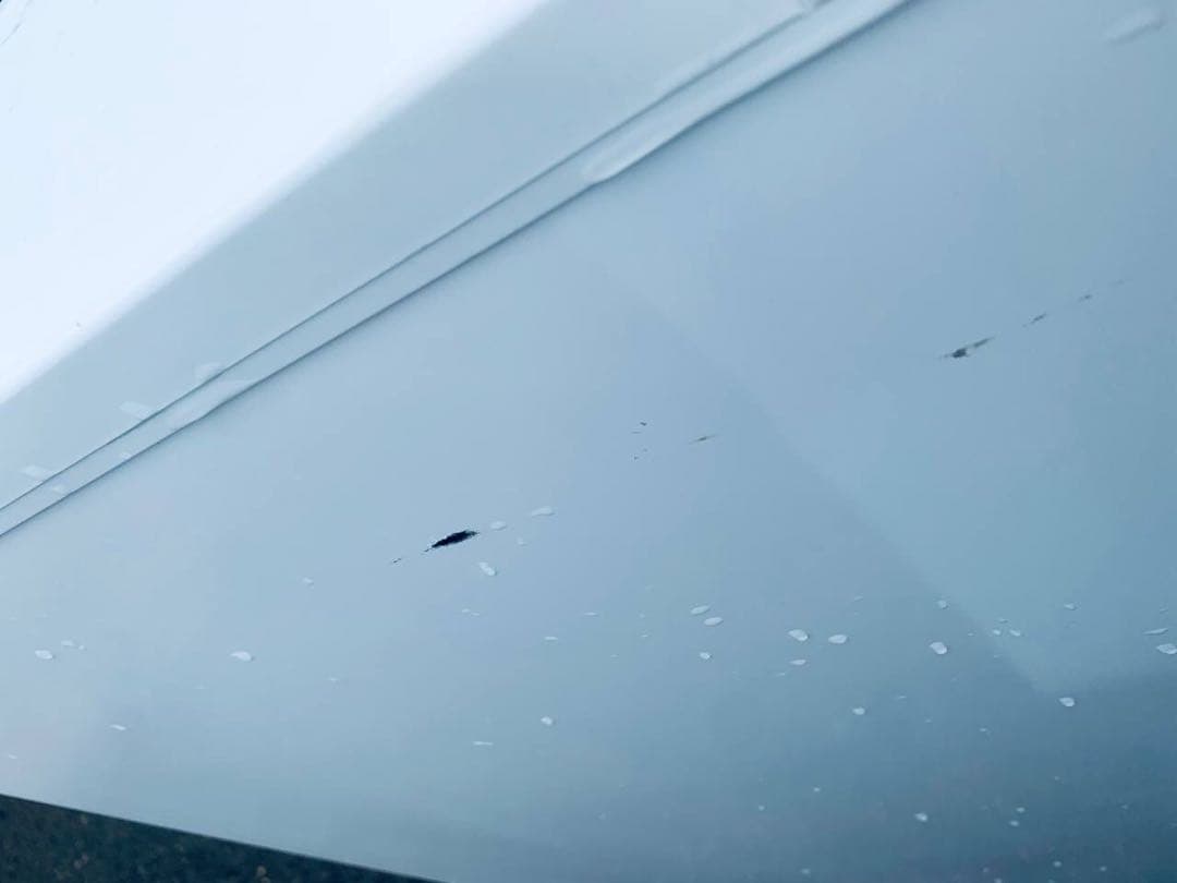 ♦SHARP ノンフロン冷凍冷蔵庫 【2013年製】SJ-14X-W