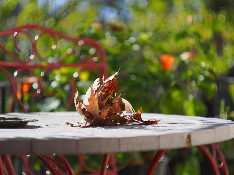 55　未使用　取説　純正ケース付ぐるぐるボケレンズ　 ヘリオス　44-2　M42