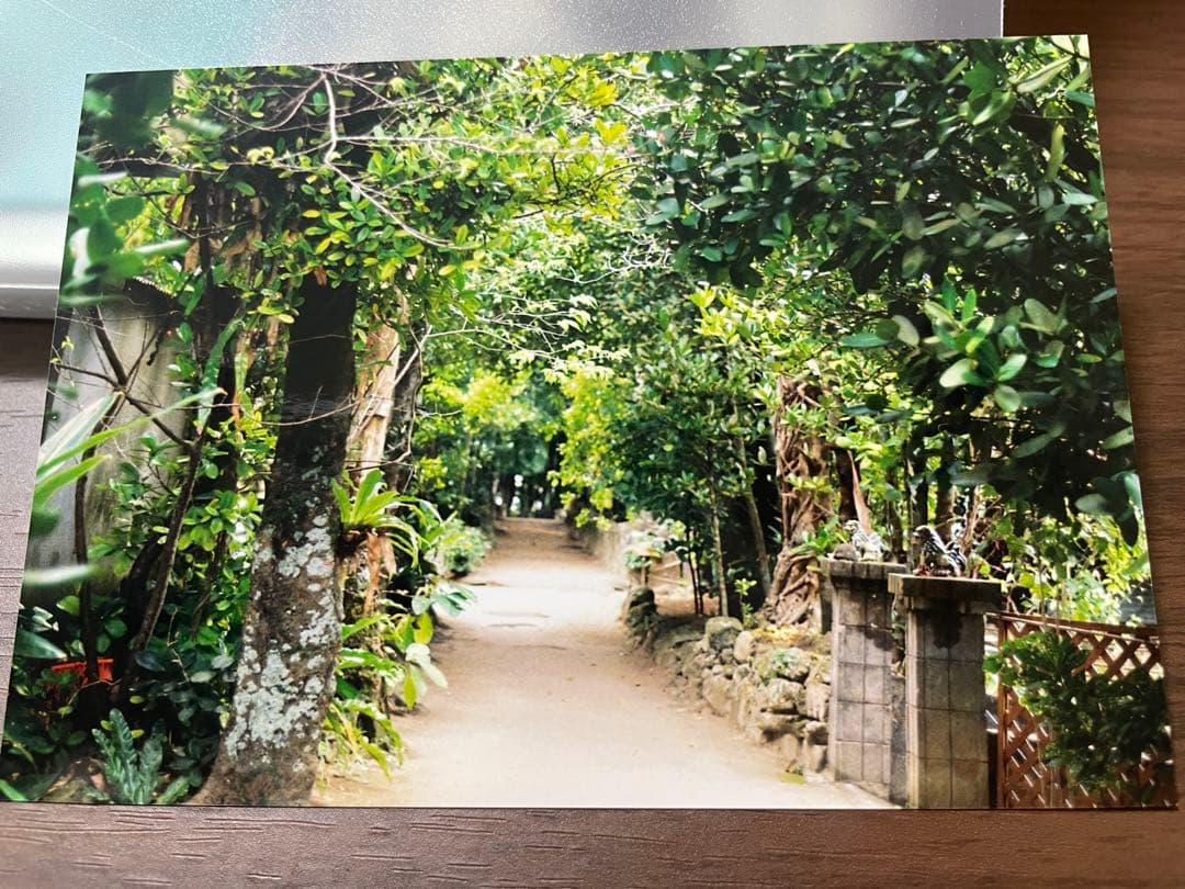 Nikon F3 フィルムカメラ