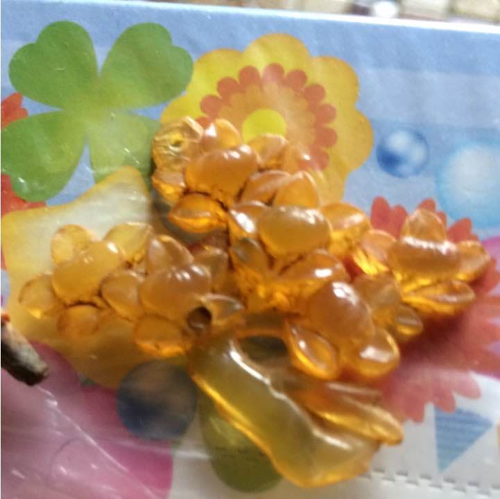 鼈甲のかんざし  明治 大正