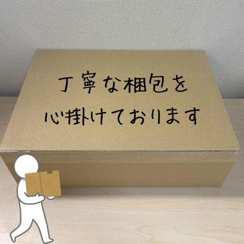 ロボット掃除機 2800Pa 強力吸引 お掃除クリーナー 音量調節 静音 12p