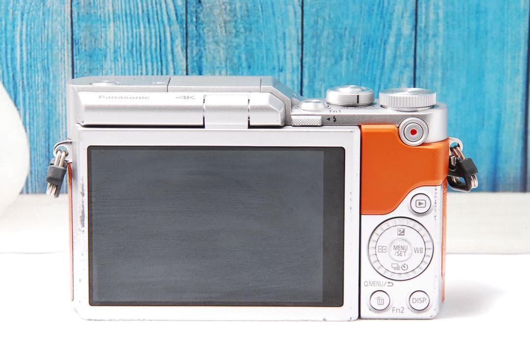 ショット数611回 LUMIX GF9 SNS Wi-Fi チルト ミラーレス