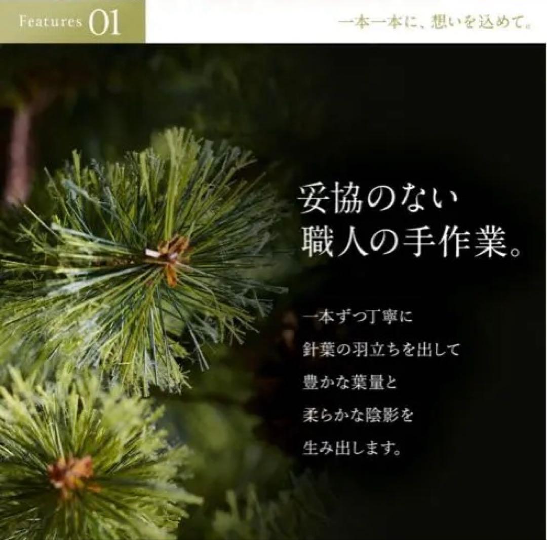 Alsaceクリスマスツリー210cm