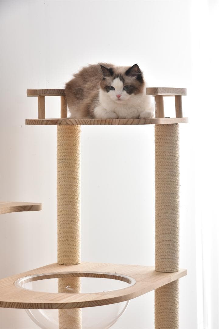 キャットタワー 透明宇宙船 頑丈 据え置き おしゃれ キャットタワー 木製