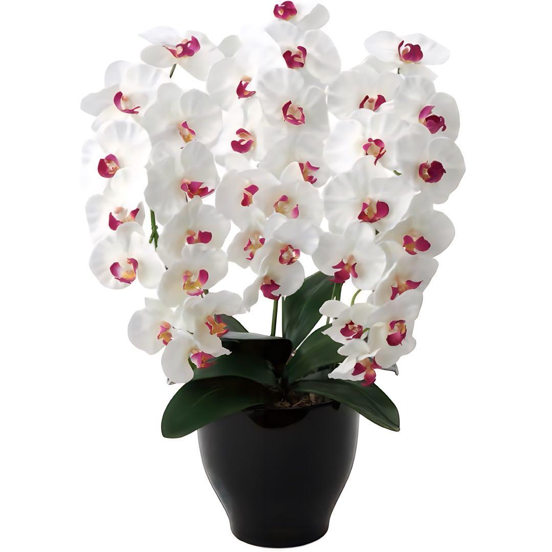 光触媒　人工観葉植物　フェイクグリーン プレミアム胡蝶蘭W/AB