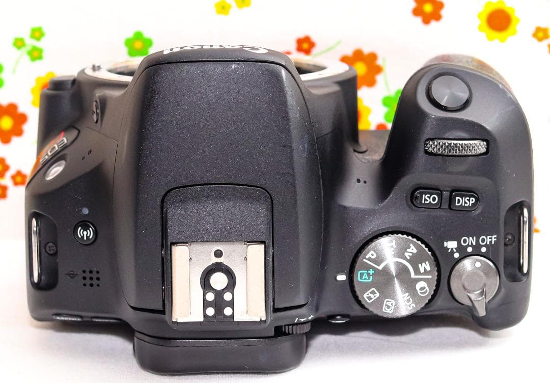 美品 Canon EOS kiss X9☆スマホ転送！☆高性能・高機能一眼レフ