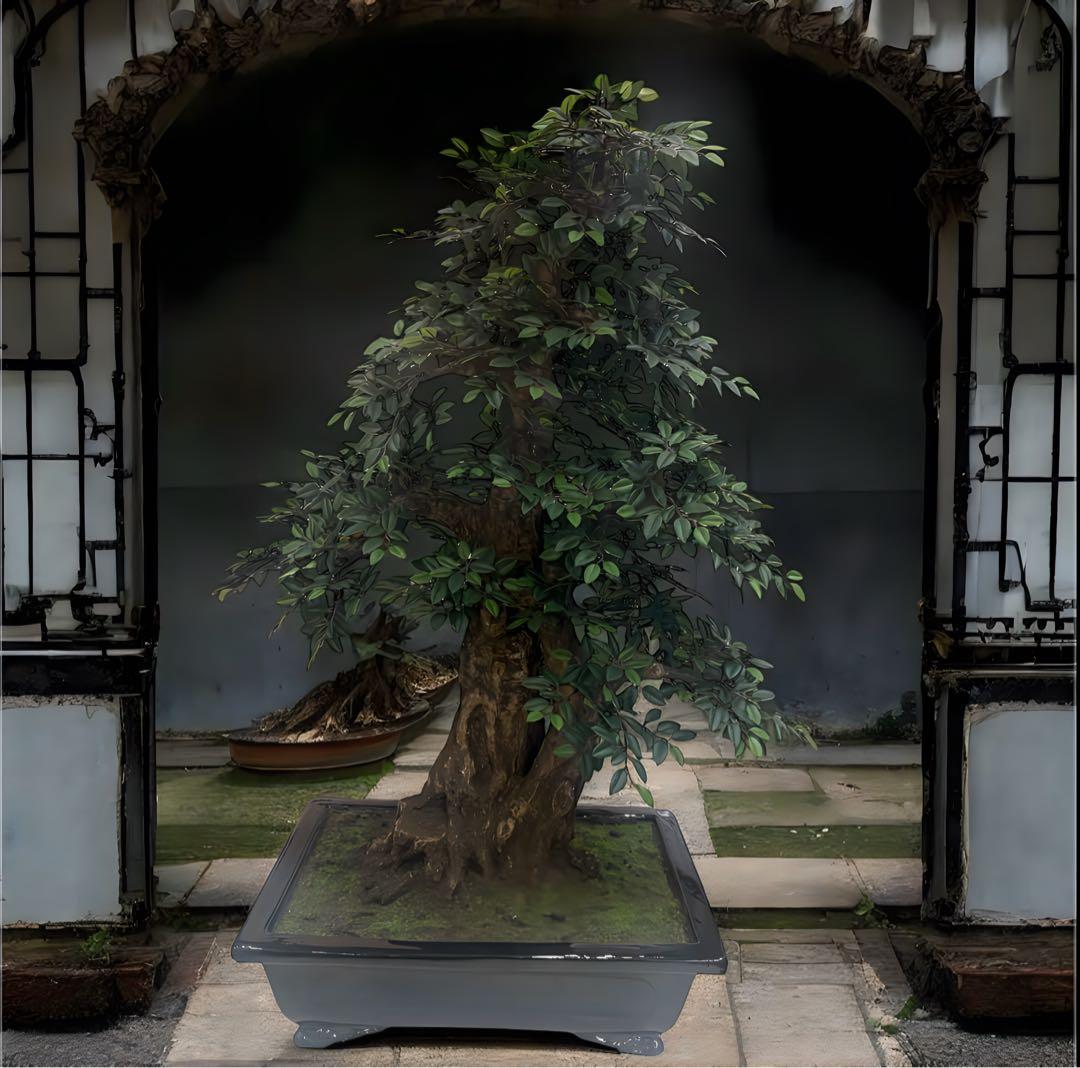 光触媒　人工観葉植物　ウォールグリーン　フェイクグリーン　盆栽　欅　けやき