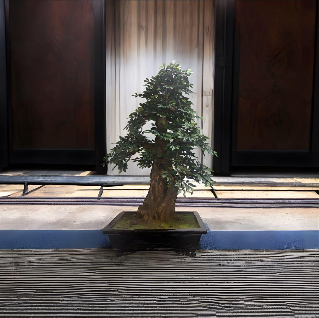 光触媒　人工観葉植物　ウォールグリーン　フェイクグリーン　盆栽　欅　けやき