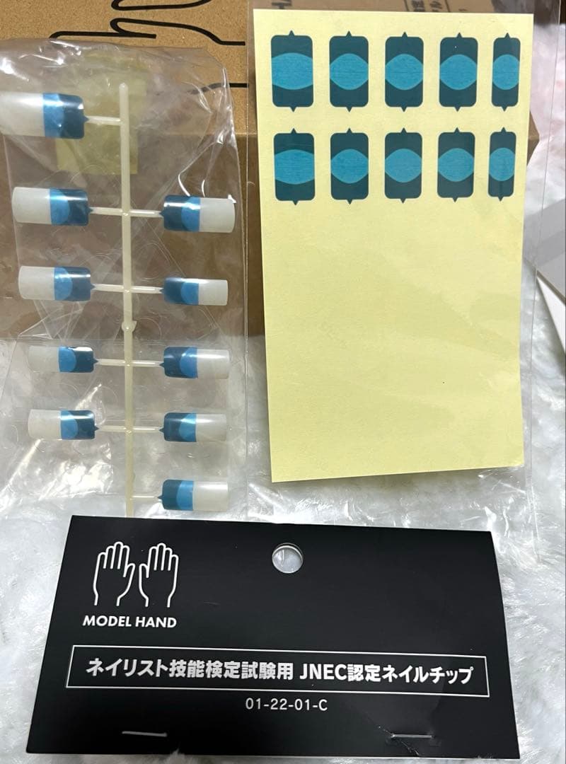 美品 モデルハンド ネイリスト技能検定試験用