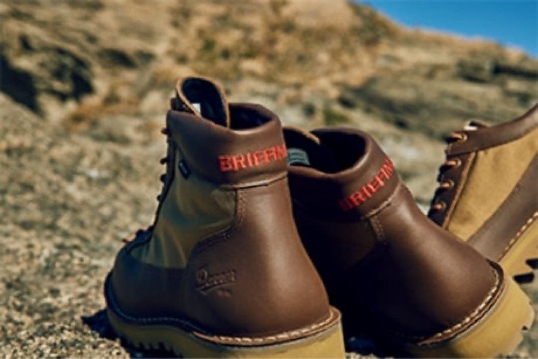 【美品】DANNER FIRELD BRIEFING ダナーフィールド BR