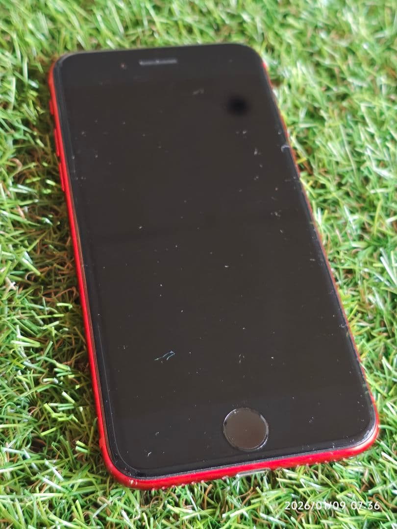 Apple iPhone SE (第3世代) レッド